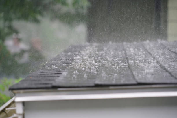 Best Rubber Roofing (EPDM, TPO)  in Armada, MI