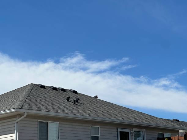 Best Slate Roofing  in Armada, MI